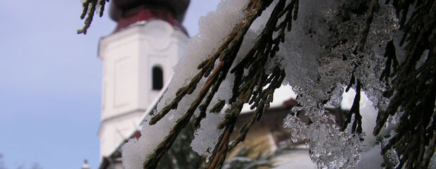 Palko Plant - Templomkertek építése
